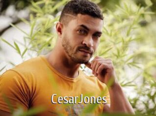 CesarJones Cigare à moustache