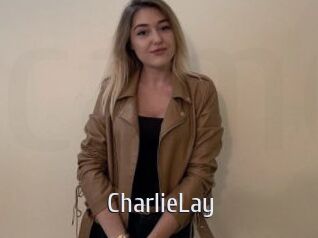 CharlieLay Cigare à moustache