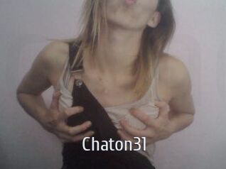 Chaton31