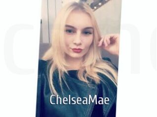 ChelseaMae Cigare à moustache