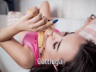 _Cattleya