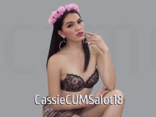 CassieCUMSalot18