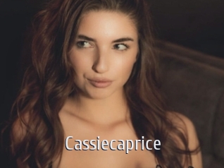 cassiecaprice Cigare à moustache