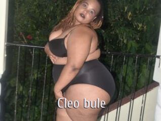 Cleo_bule