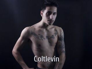 Coltlevin