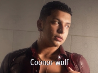 Coonor_wolf