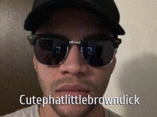 Cutephatlittlebrowndick