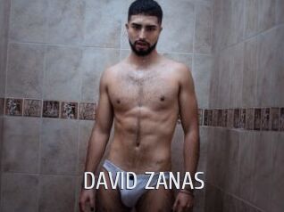 DAVID_ZANAS