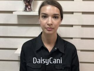DaisyCani Cigare à moustache
