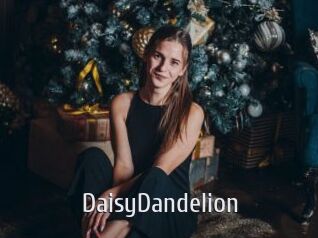 DaisyDandelion