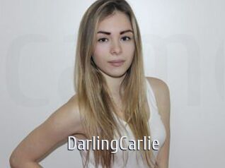 DarlingCarlie Cigare à moustache