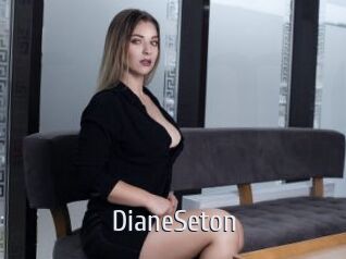 DianeSeton Cigare à moustache