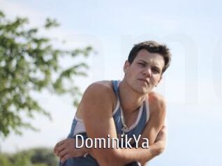 DominikYa
