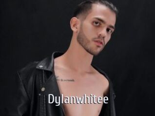 Dylanwhitee Cigare à moustache