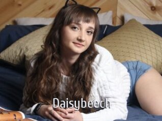 Daisybeech