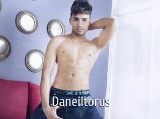 Daneil_torus