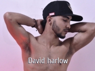 David_harlow