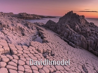 Davidhmodel