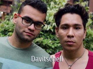 Davitschell