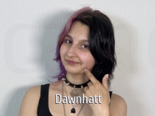dawnhatt Cigare à moustache