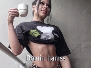 Domin_hamss