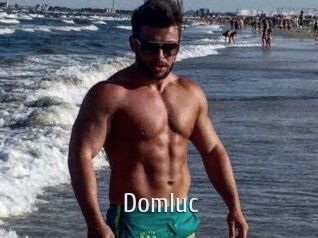 Domluc