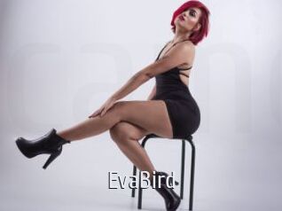 EvaBird