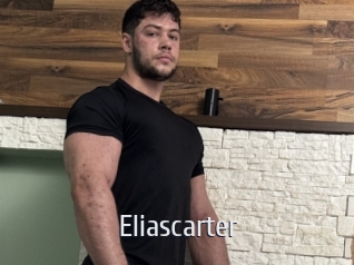 eliascarter Cigare à moustache