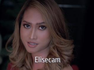Elisecam
