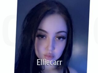 elliecarr Cigare à moustache