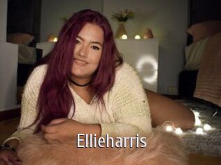 ellieharris Cigare à moustache