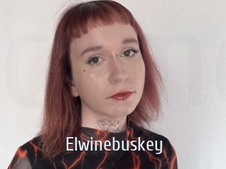Elwinebuskey