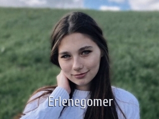 Erlenegomer
