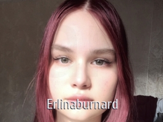 erlinaburnard Cigare à moustache