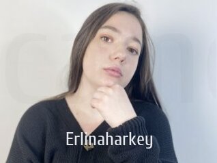 erlinaharkey Cigare à moustache