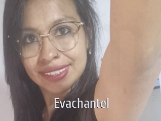 evachantel Cigare à moustache