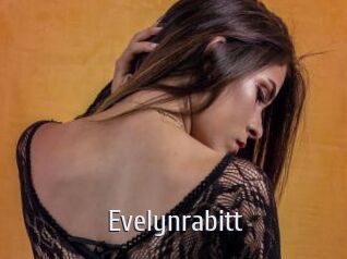 Evelynrabitt