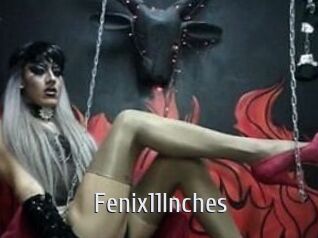 Fenix11Inches