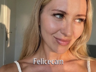 Felicecam