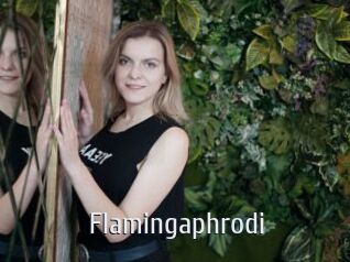 Flamingaphrodi