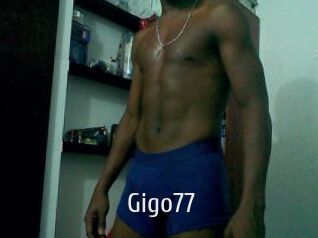 Gigo77