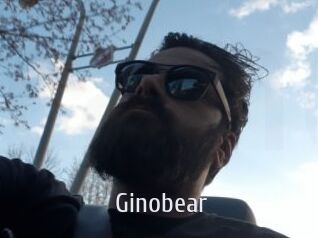 Ginobear
