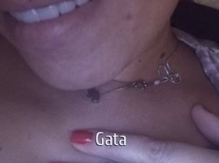 gata Cigare à moustache