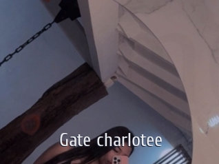 Gate_charlotee