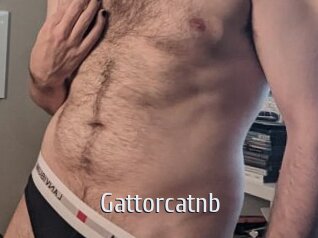 gattorcatnb Cigare à moustache
