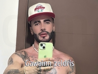 Gawainn_zeldris