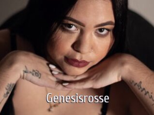 Genesisrosse