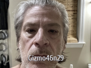 Gizmo46n29