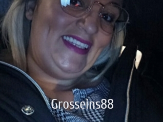 grosseins88 Cigare à moustache