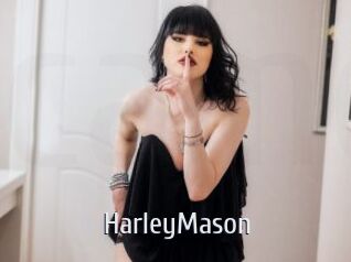 HarleyMason Cigare à moustache